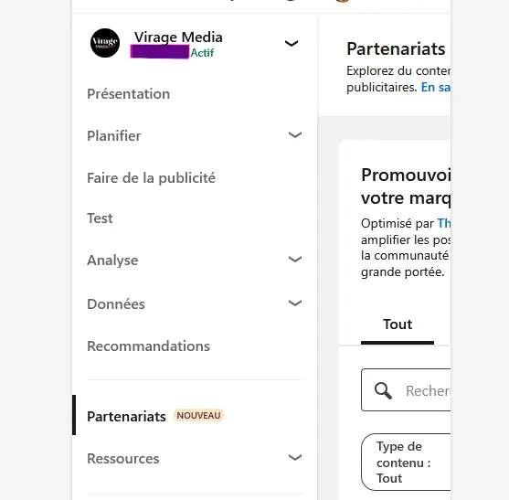 Capture d’écran du Campaign Manager LinkedIn montrant le menu latéral avec la section “Partenariats” mise en avant pour activer les Thought Leader Ads.